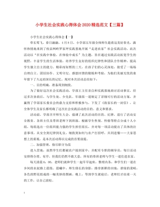 小学生社会实践心得体会2020精选范文【三篇】 