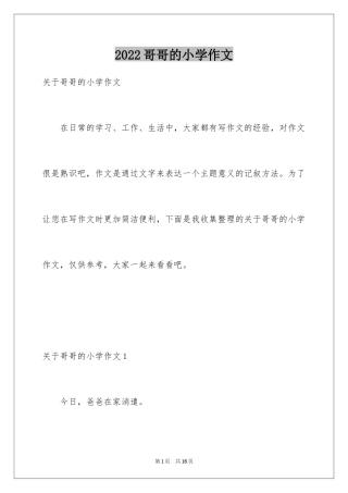 2024哥哥的小学作文