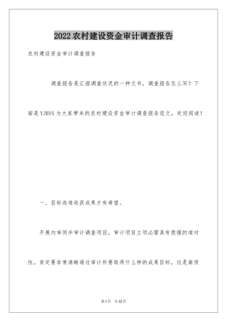 2024农村建设资金审计调查报告