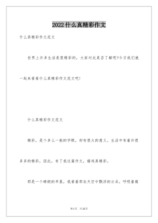 2024什么真精彩作文