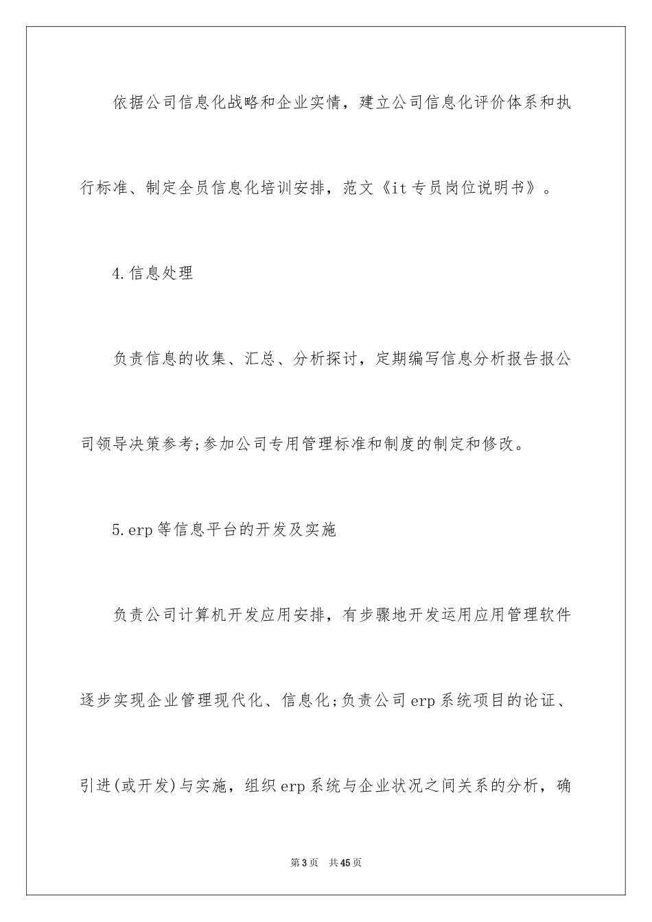 2024it的岗位说明书_第3页