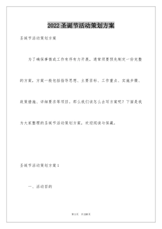 2024圣诞节活动策划方案_23