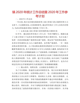 镇2020年统计工作总结暨2020年工作参考计划 