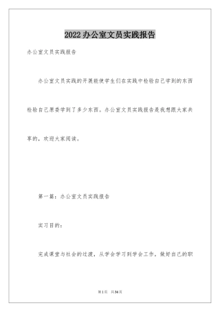 2024办公室文员实践报告