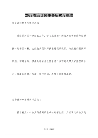2024在会计师事务所实习总结