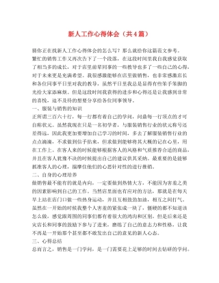 新人工作心得体会（共4篇） 