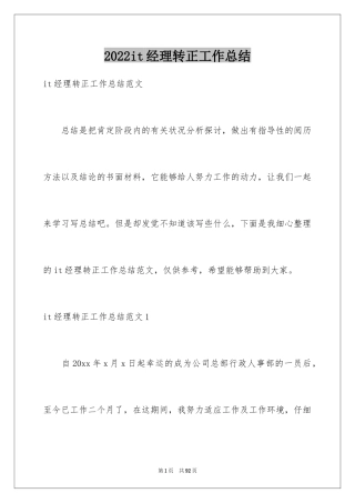 2024it经理转正工作总结