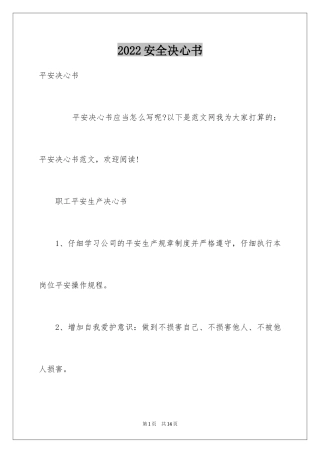2024安全决心书