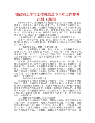镇政府上半年工作总结及下半年工作参考计划（通用） 