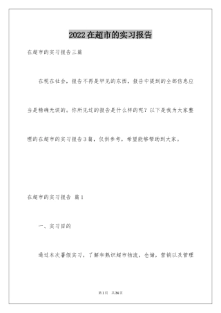 2024在超市的实习报告_59