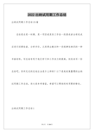2024出纳试用期工作总结_13