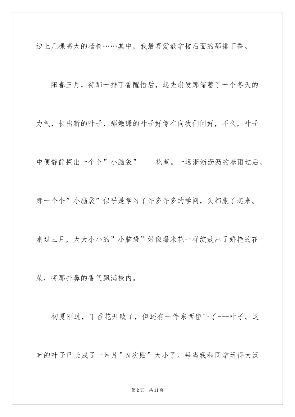 2024丁香树作文_1_第2页