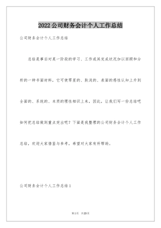 2024公司财务会计个人工作总结_1