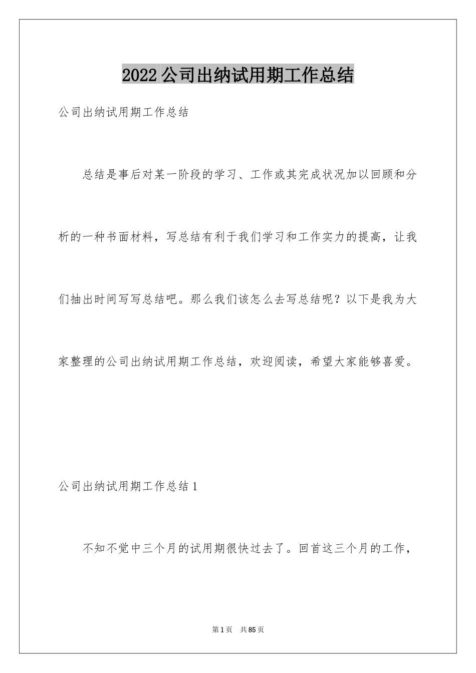 2024公司出纳试用期工作总结_1_第1页