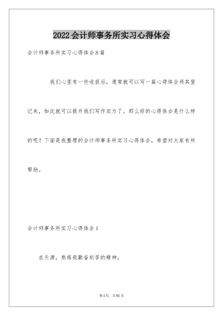 2024会计师事务所实习心得体会