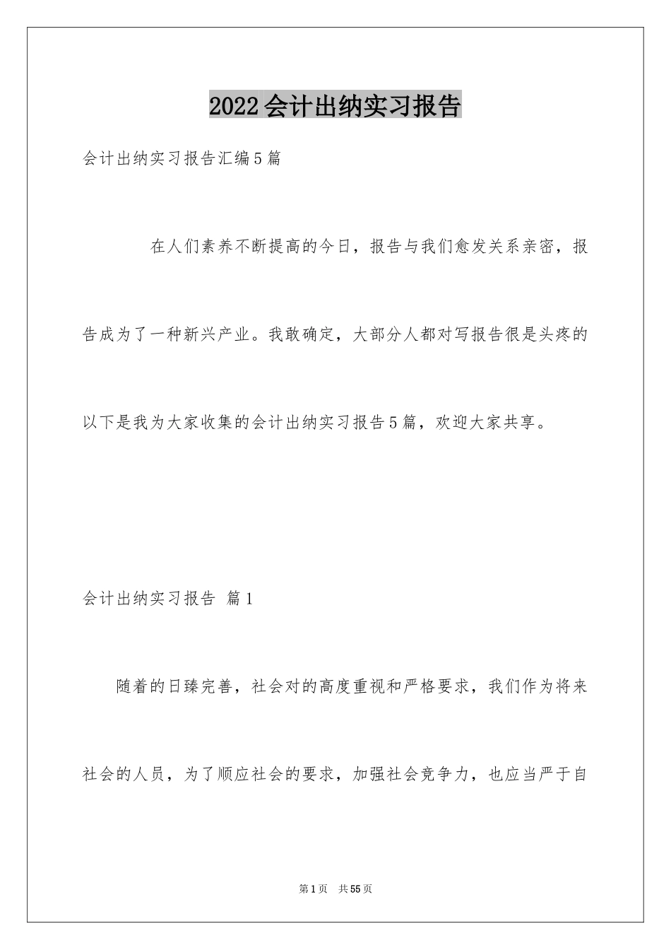 2024会计出纳实习报告_8_第1页