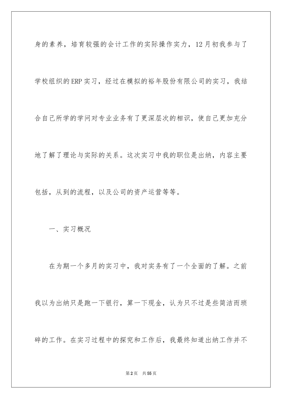 2024会计出纳实习报告_8_第2页