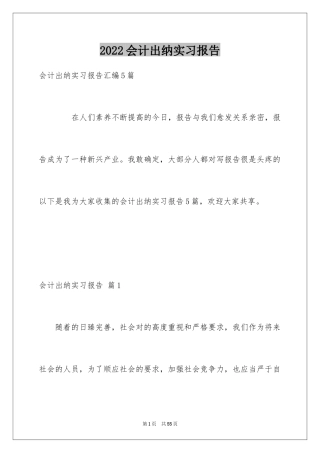 2024会计出纳实习报告_8