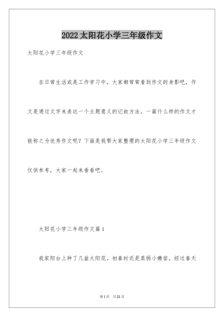 2024太阳花小学三年级作文