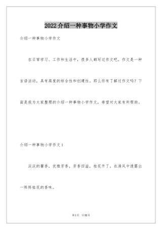 2024介绍一种事物小学作文