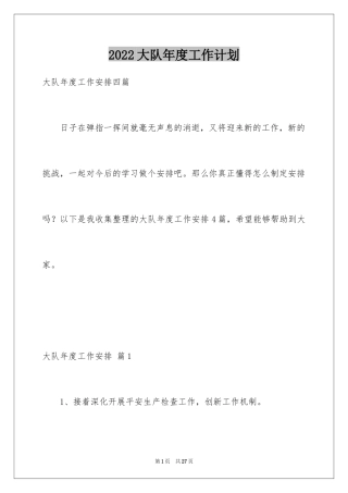 2024大队年度工作计划