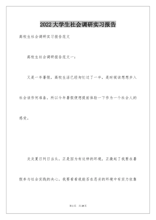 2024大学生社会调研实习报告