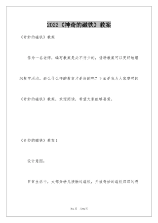 2024《神奇的磁铁》教案_1
