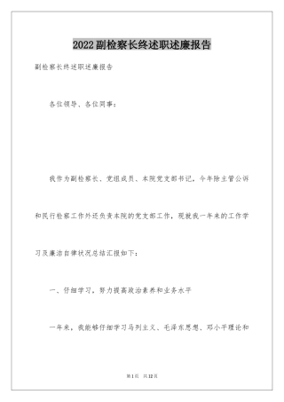 2024副检察长终述职述廉报告