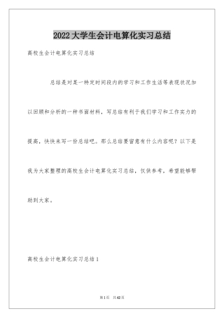 2024大学生会计电算化实习总结