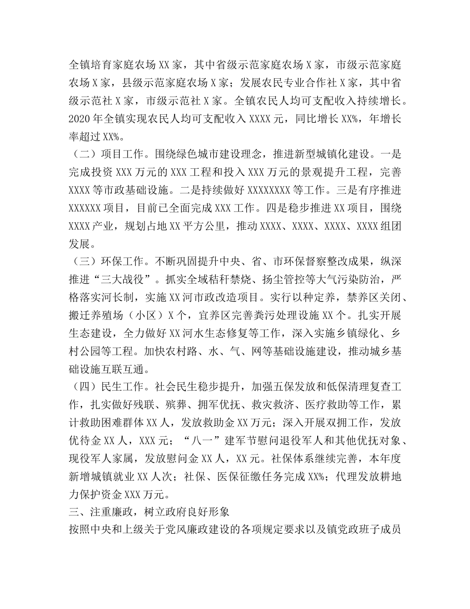 2024年乡镇长述职述廉报告 _第2页