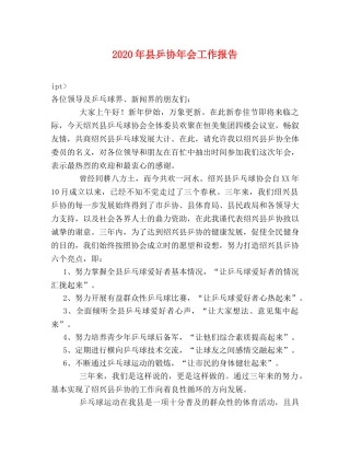 2024年县乒协年会工作报告 