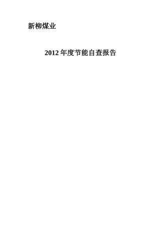 自查报告洗煤厂