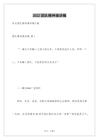 2024团队精神演讲稿_377