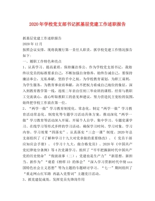 2024年学校党支部书记抓基层党建工作述职报告 