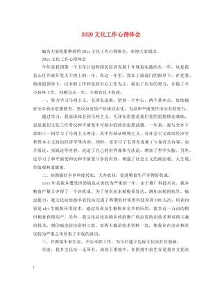 2024文化工作心得体会 (000001)