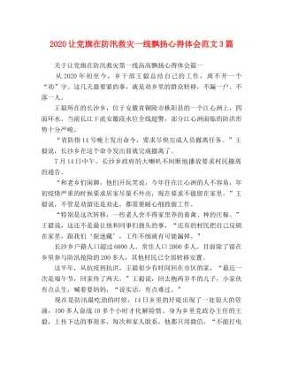 2024让党旗在防汛救灾一线飘扬心得体会范文3篇 