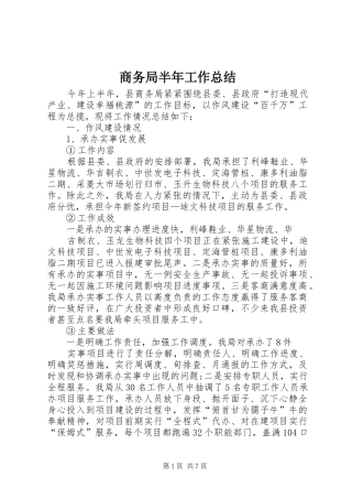 商务局半年工作总结 (22)