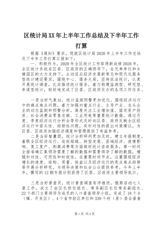 区统计局XX年上半年工作总结及下半年工作打算 