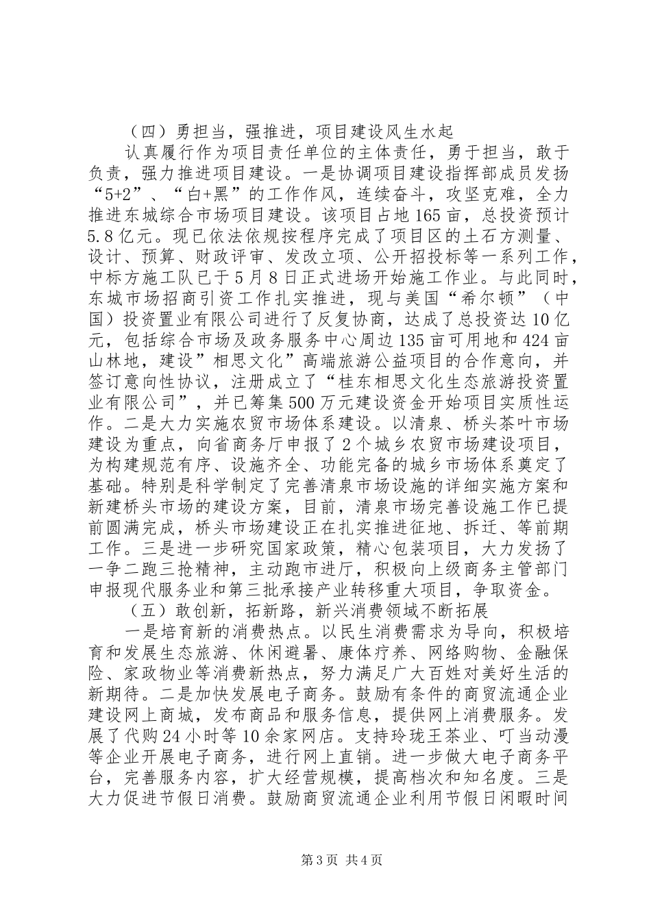 商务局工作总结 (29)_第3页