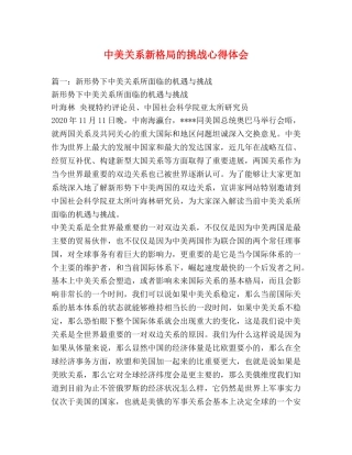 中美关系新格局的挑战心得体会 