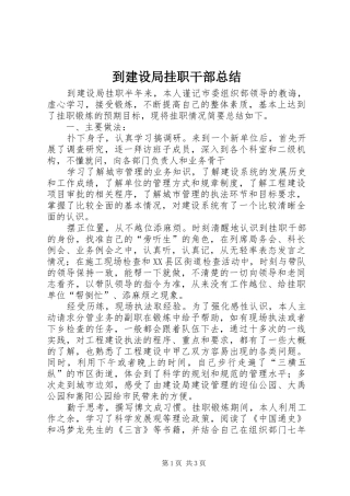 到建设局挂职干部总结 