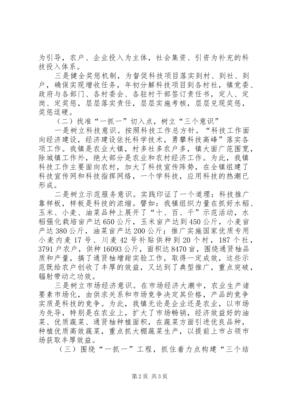 党政一把手抓第一生产力工作总结 _第2页