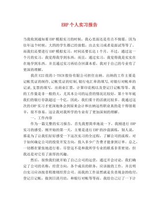 ERP个人实习报告 