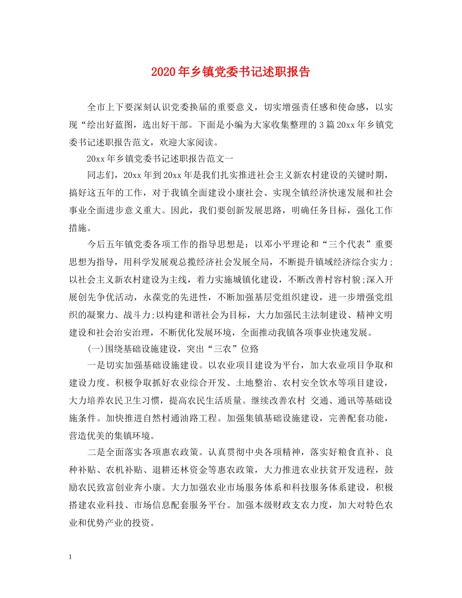 2024年乡镇党委书记述职报告 _第1页