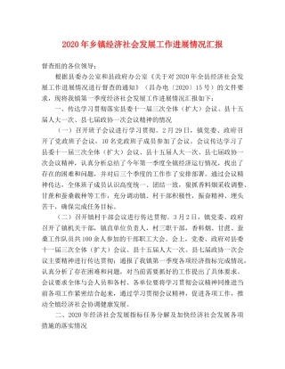 2024年乡镇经济社会发展工作进展情况汇报 