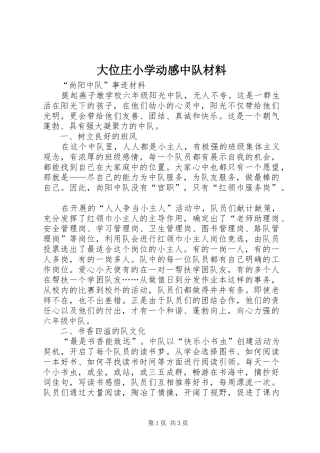 大位庄小学动感中队材料