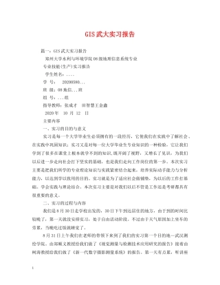 GIS武大实习报告 (000002)