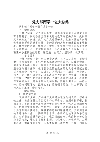 党支部两学一做大总结 