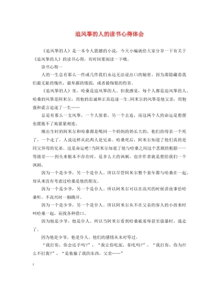 追风筝的人的读书心得体会 