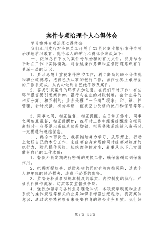 案件专项治理个人体会心得